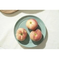 Staub 15 Cm Ceramic Plate Flat Sage -Staub 750044309